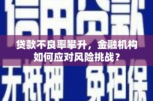 徐闻贷款不良率攀升，金融机构如何应对风险挑战？