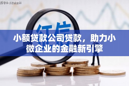徐闻小额贷款公司贷款，助力小微企业的金融新引擎