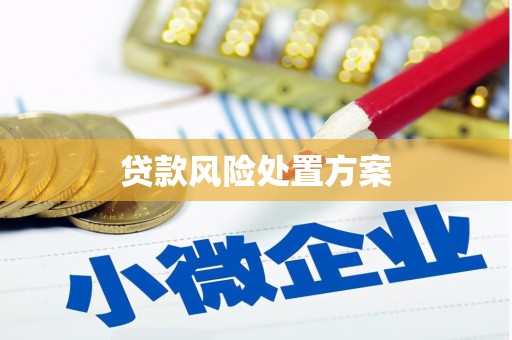 徐闻贷款风险处置方案