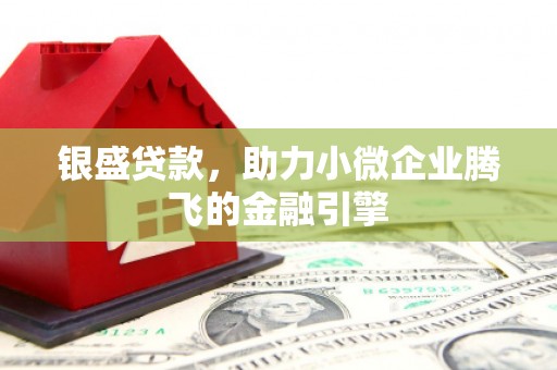 徐闻银盛贷款，助力小微企业腾飞的金融引擎