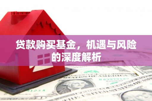 徐闻贷款购买基金，机遇与风险的深度解析