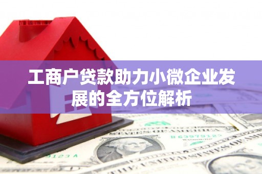 徐闻工商户贷款助力小微企业发展的全方位解析