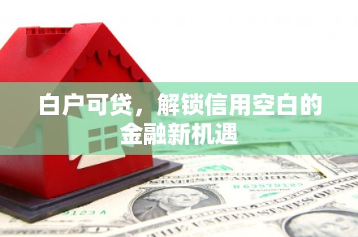 徐闻白户可贷，解锁信用空白的金融新机遇