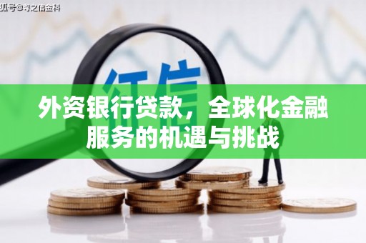 徐闻外资银行贷款，全球化金融服务的机遇与挑战