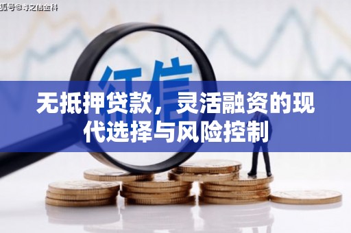 徐闻无抵押贷款，灵活融资的现代选择与风险控制