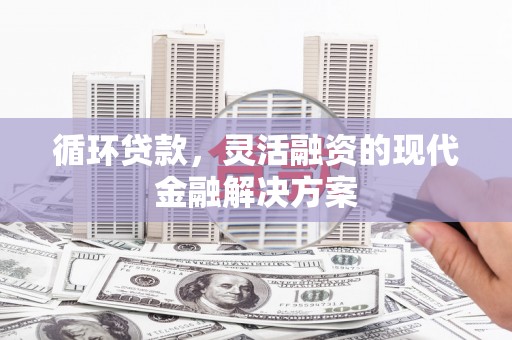 徐闻循环贷款，灵活融资的现代金融解决方案
