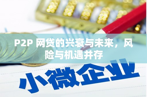 徐闻P2P 网贷的兴衰与未来，风险与机遇并存