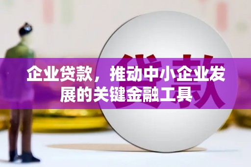 徐闻企业贷款，推动中小企业发展的关键金融工具