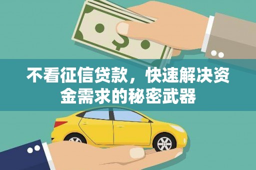 徐闻不看征信贷款，快速解决资金需求的秘密武器
