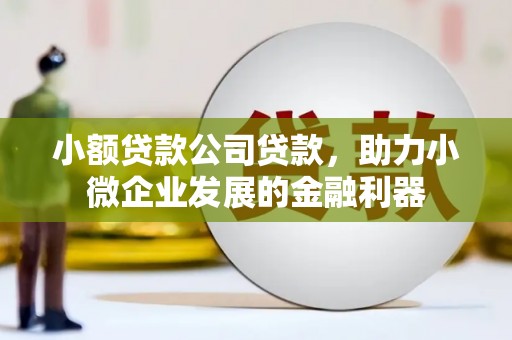 徐闻小额贷款公司贷款，助力小微企业发展的金融利器