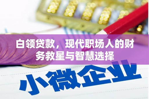 徐闻白领贷款，现代职场人的财务救星与智慧选择