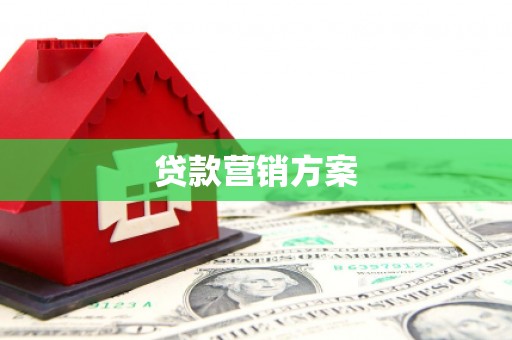 徐闻贷款营销方案