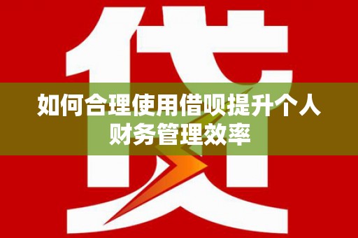 徐闻如何合理使用借呗提升个人财务管理效率