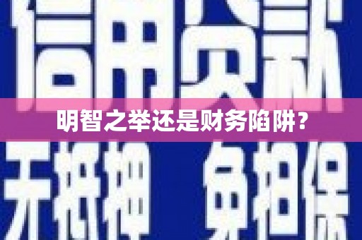 徐闻明智之举还是财务陷阱？