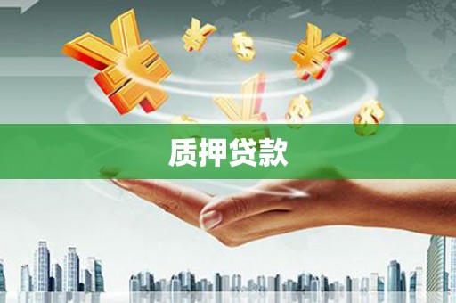 徐闻质押贷款