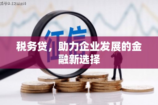 徐闻税务贷，助力企业发展的金融新选择