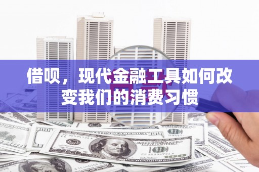徐闻借呗，现代金融工具如何改变我们的消费习惯