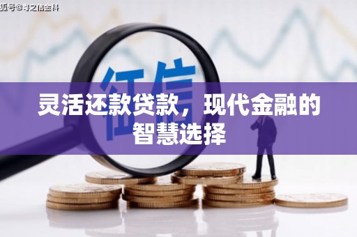 徐闻灵活还款贷款，现代金融的智慧选择