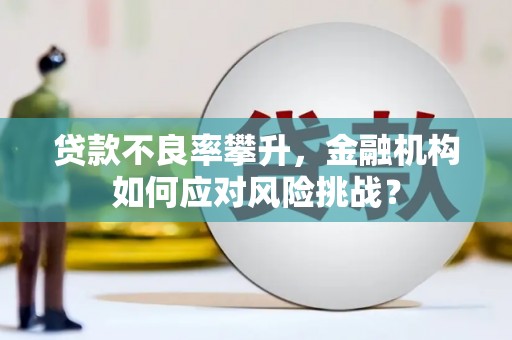 徐闻贷款不良率攀升，金融机构如何应对风险挑战？