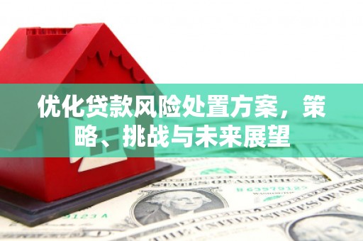 徐闻优化贷款风险处置方案，策略、挑战与未来展望