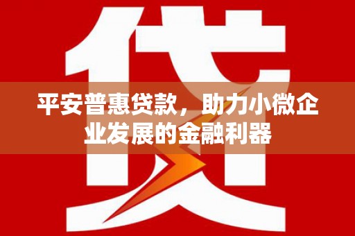 徐闻平安普惠贷款，助力小微企业发展的金融利器