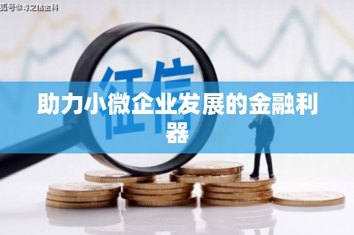 徐闻助力小微企业发展的金融利器