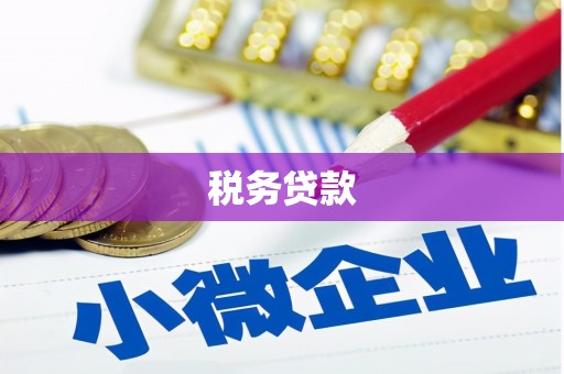 徐闻税务贷款
