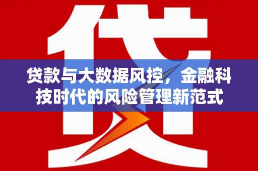 徐闻贷款与大数据风控，金融科技时代的风险管理新范式