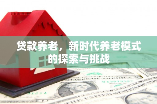 徐闻贷款养老，新时代养老模式的探索与挑战