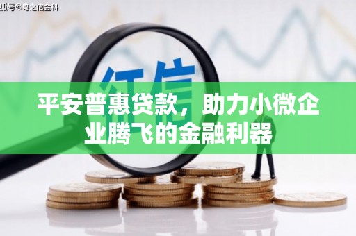 徐闻平安普惠贷款，助力小微企业腾飞的金融利器