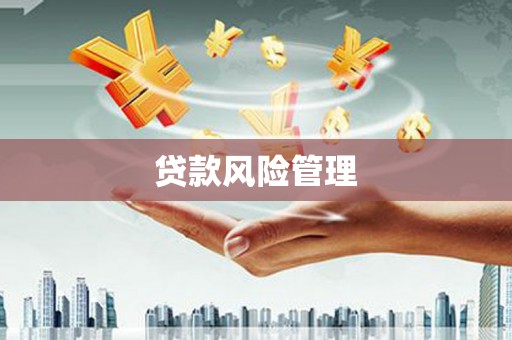 徐闻贷款风险管理