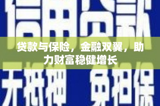 徐闻贷款与保险，金融双翼，助力财富稳健增长