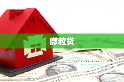 徐闻微粒贷