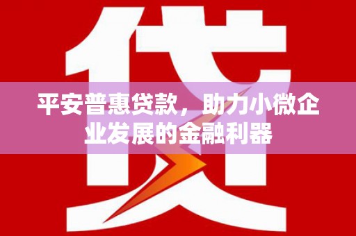 徐闻平安普惠贷款，助力小微企业发展的金融利器