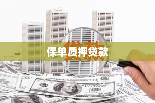 徐闻保单质押贷款