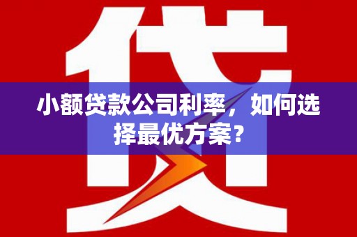 徐闻小额贷款公司利率，如何选择最优方案？