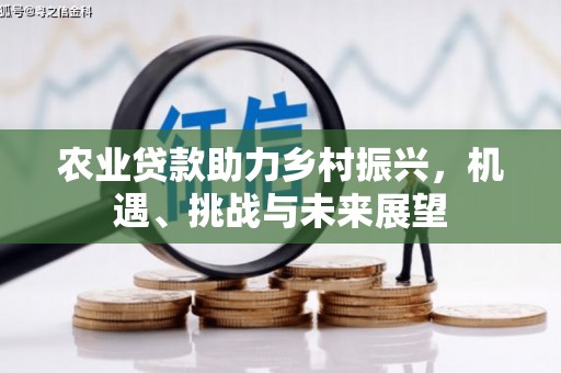 徐闻农业贷款助力乡村振兴，机遇、挑战与未来展望