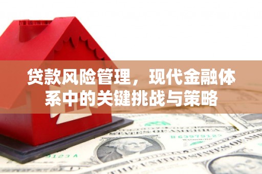 徐闻贷款风险管理，现代金融体系中的关键挑战与策略