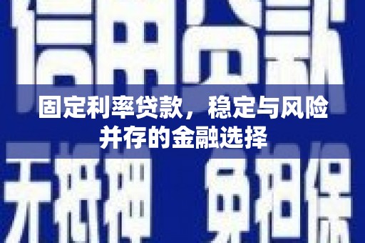 徐闻固定利率贷款，稳定与风险并存的金融选择