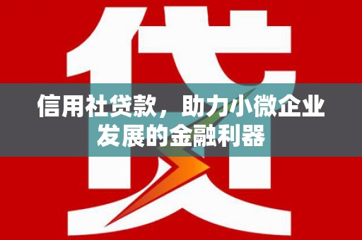 徐闻信用社贷款，助力小微企业发展的金融利器