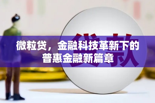 徐闻微粒贷，金融科技革新下的普惠金融新篇章