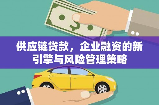 徐闻供应链贷款，企业融资的新引擎与风险管理策略