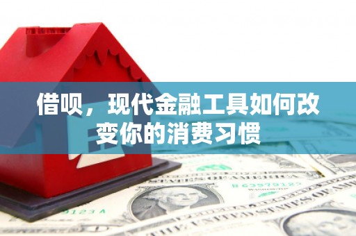 徐闻借呗，现代金融工具如何改变你的消费习惯