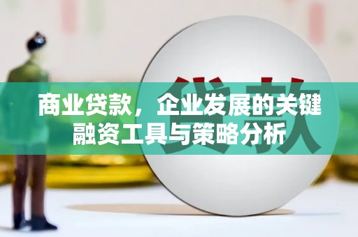 徐闻商业贷款，企业发展的关键融资工具与策略分析