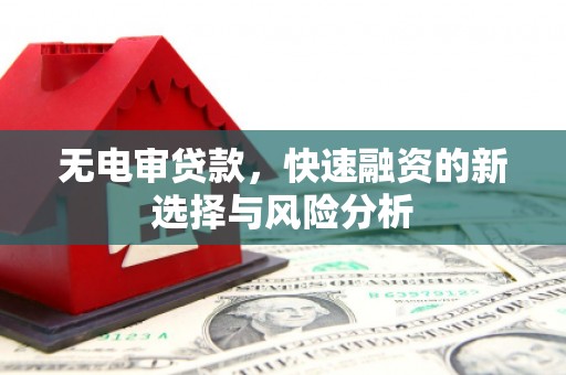 徐闻无电审贷款，快速融资的新选择与风险分析