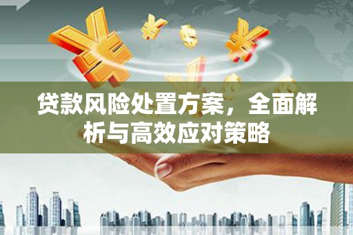 徐闻贷款风险处置方案，全面解析与高效应对策略