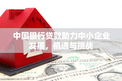 徐闻中国银行贷款助力中小企业发展，机遇与挑战