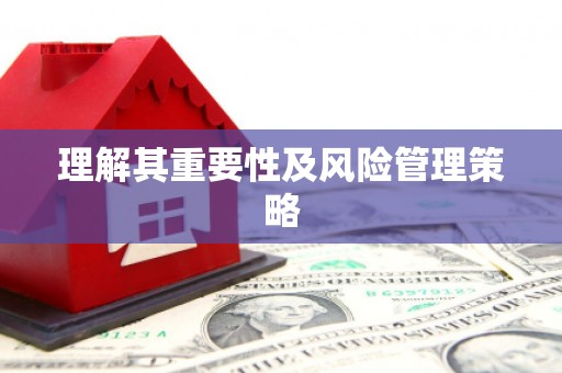 徐闻理解其重要性及风险管理策略