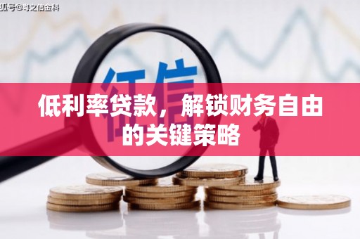 徐闻低利率贷款，解锁财务自由的关键策略