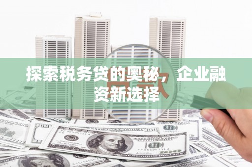 徐闻探索税务贷的奥秘，企业融资新选择